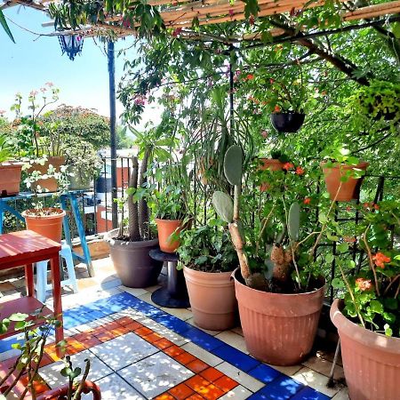 La Terraza Del Pochote Oaxaca Exteriör bild