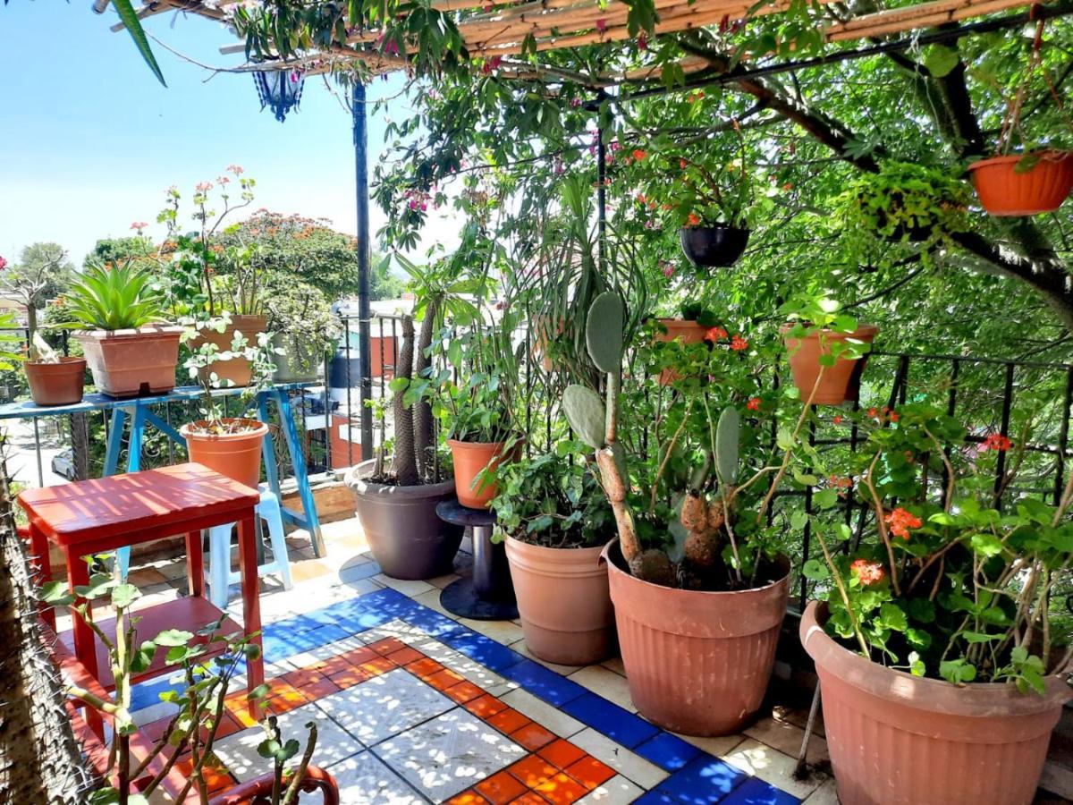 La Terraza Del Pochote Oaxaca Exteriör bild